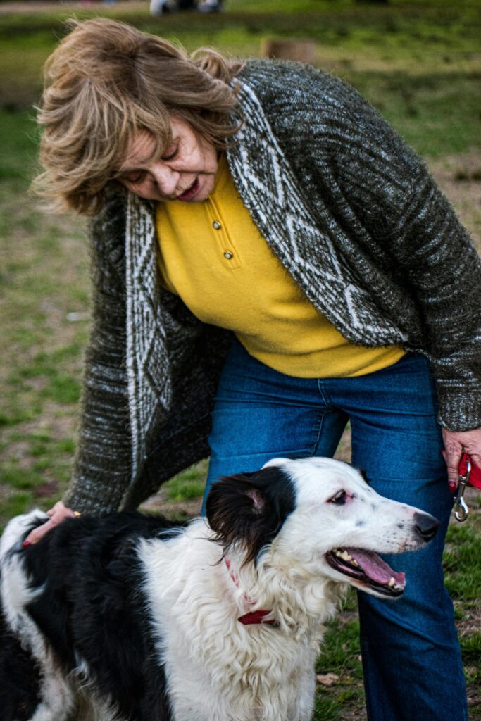 Senior dog care tips for aging dogs.