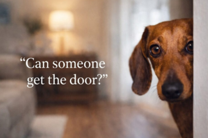dog calm when guests arrive at front door using calm greeting routine